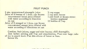 FRUIT PUNCH