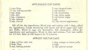 APPLESAUCE CUP CAKES