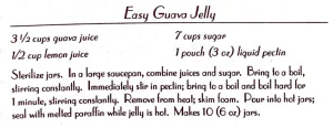 Easy Guava Jelly
