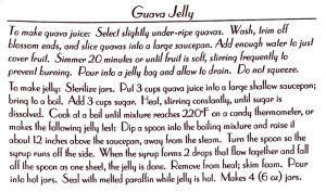 Guava Jelly #3