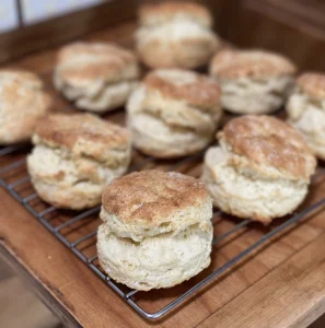 QUEEN OF BISKITS