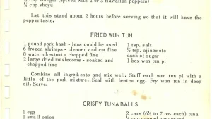 FRIED WUN TUN
