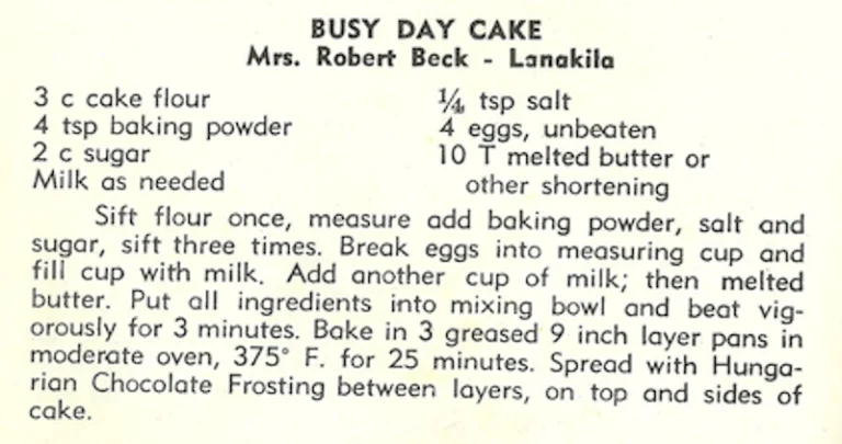 Busy Day Cake