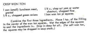 Crisp Won Ton #3