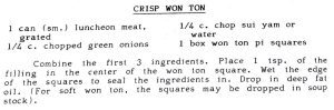 Crisp Won Ton #6