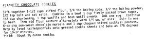 Peanutty Chocolate Cookies