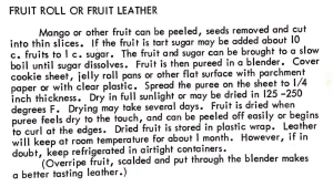 Fruit Roll or Fruit Leather